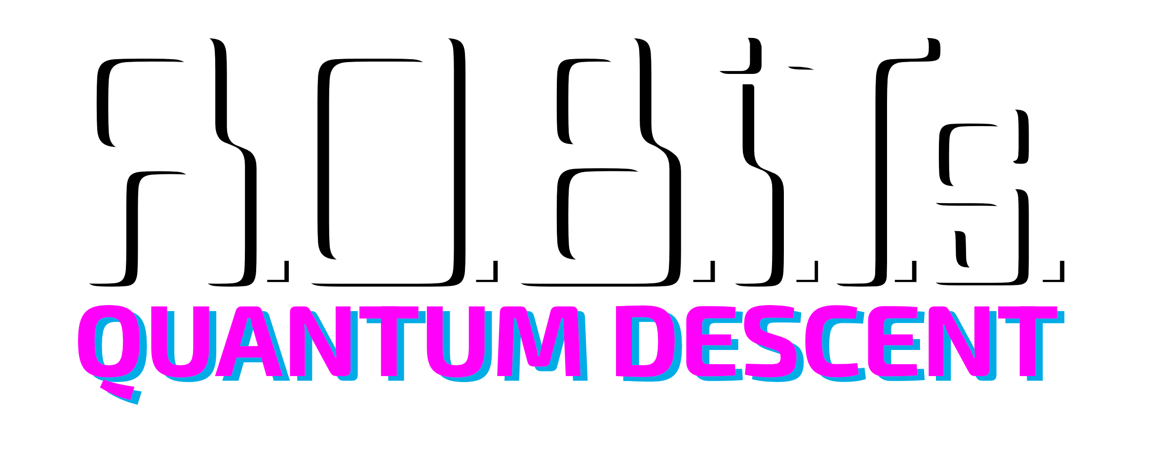 Robits Quantum Descent